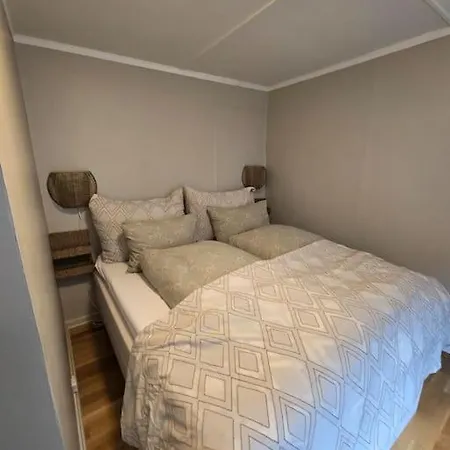 Cozy House